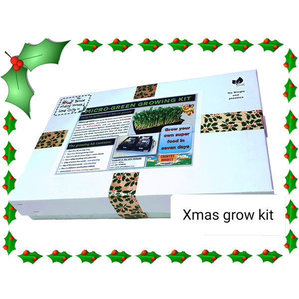 xmas-microgreen-1